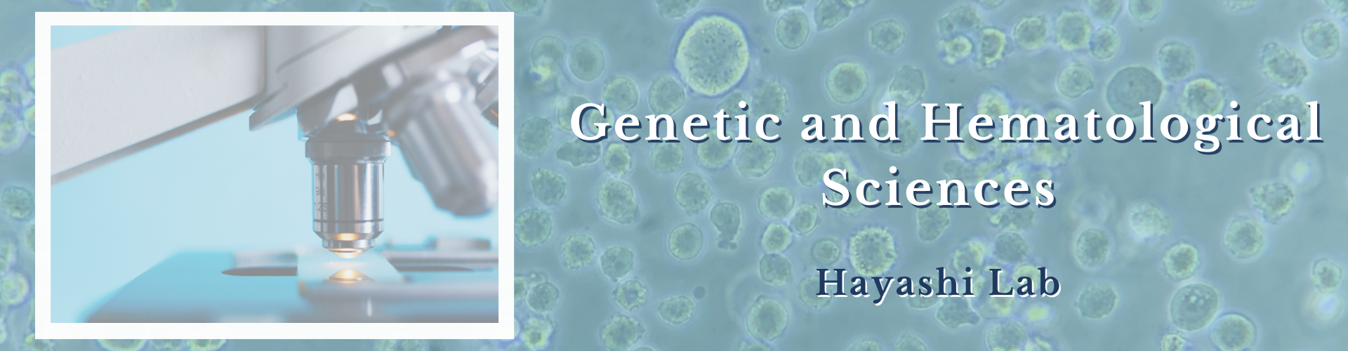 Hematology and Blood Research Lab