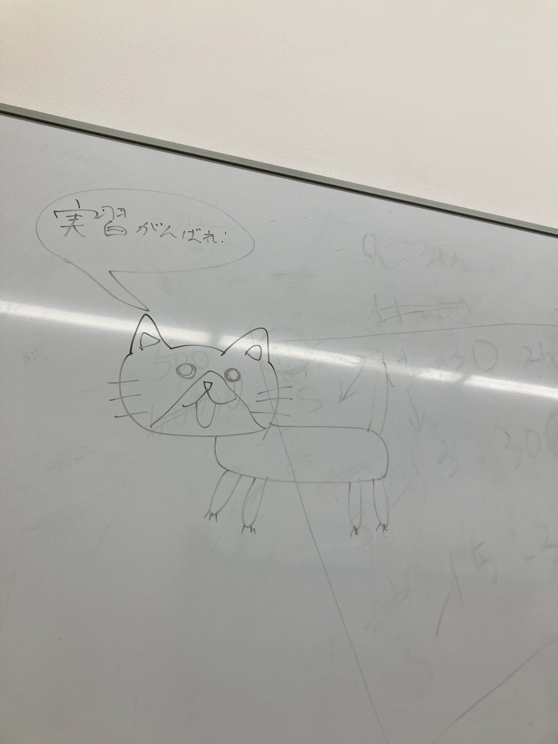 臨地実習壮行会